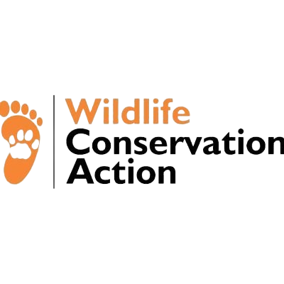 tcIu7pz1_400x400-removebg-preview