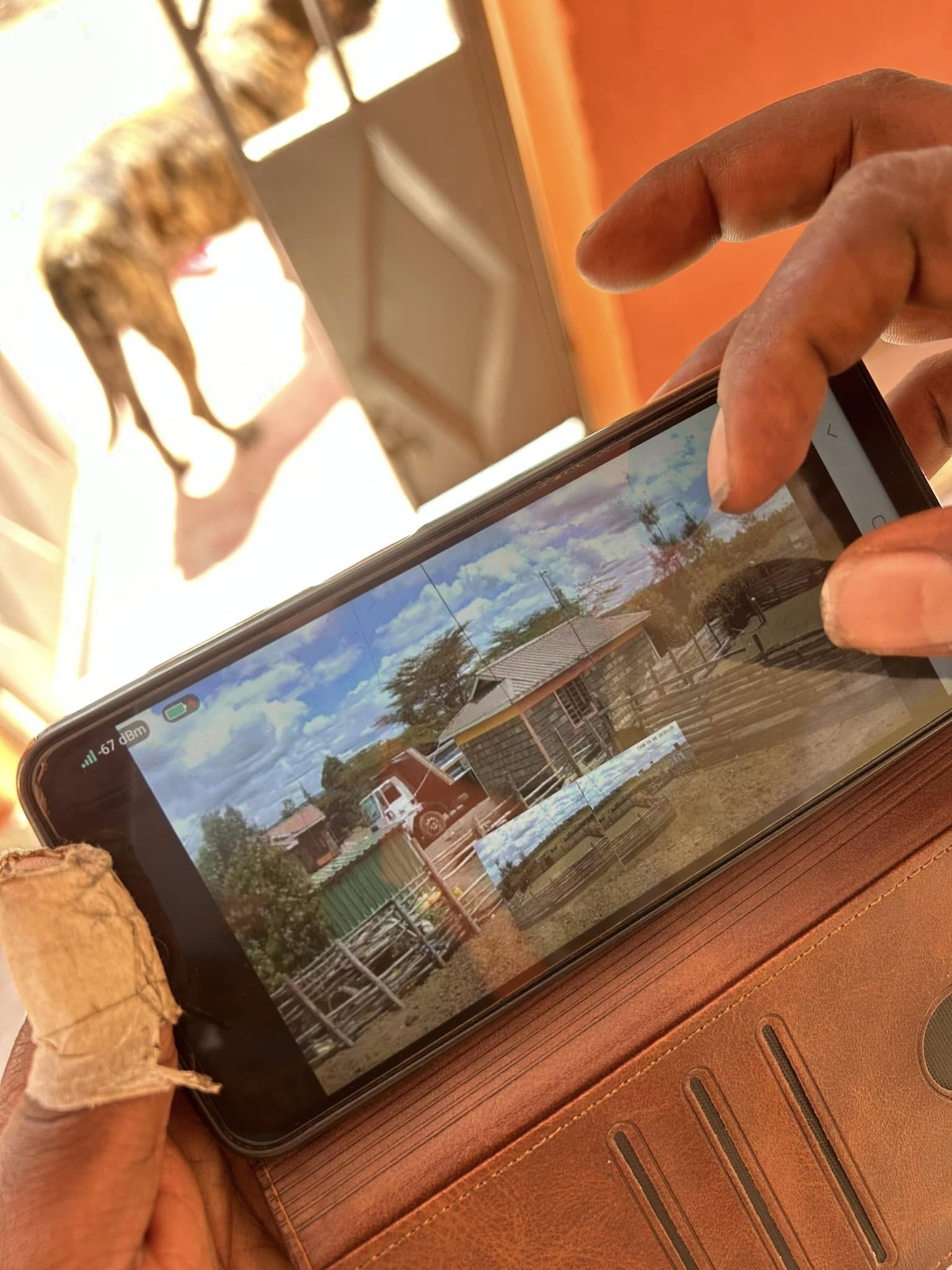 504431344_736906232067678_4876627803729857605_n