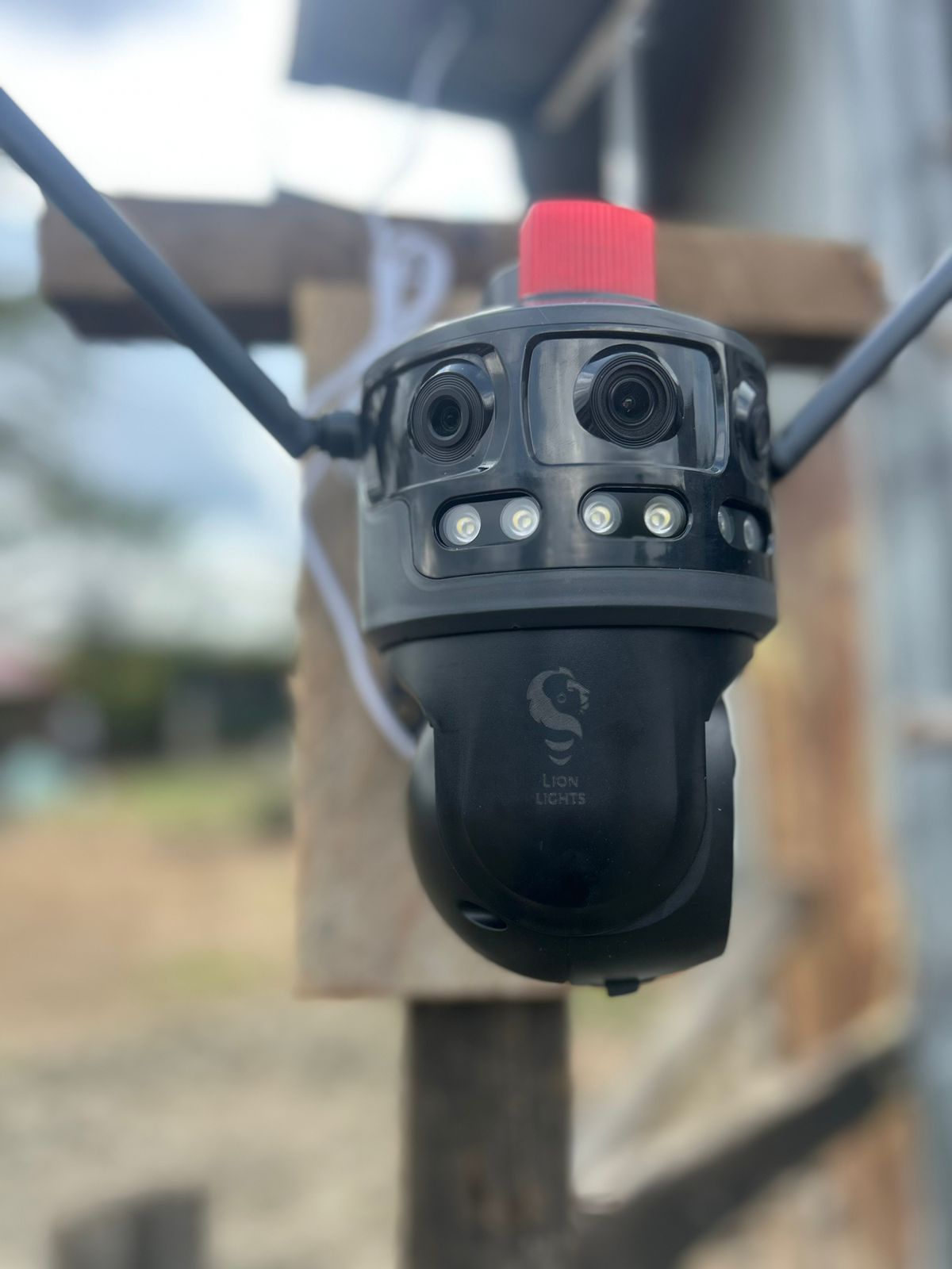 WhatsApp Image 2025-07-25 at 12.09.28 PM